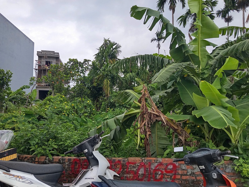 Bán Đất Thôn Kiều Trung, Xã Hồng Thái, An Dương, Hải Phòng – Vị Trí Đẹp, Giá Tốt